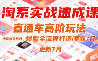 淘系实战速成课，直通车高阶玩法，搜索流量提升，爆款全流程打造(更新7月