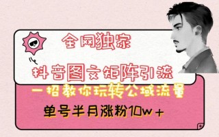 全网独家抖音图文矩阵引流，一招教你玩转公域流量，单号半月涨粉10w+【揭秘】