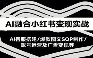AI融合小红书变现实战课，AI客服搭建/爆款图文SOP制作/账号运营及广告变现等