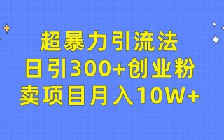 (9954期)超暴力引流法，日引300+创业粉，卖项目月入10W+