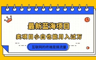 2025年最新蓝海项目，卖项目小白也能月入过万