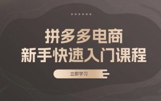 拼多多电商新手快速入门课程：涵盖基础、实战与选款，助力小白轻松上手