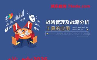 战略管理及战略分析工具的应用（7集） mp4高清无水印视频教程网盘免费下载