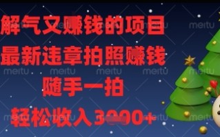 解气又挣钱的项目，最新违章拍照挣钱，随手一拍，轻松收入多张【揭秘】