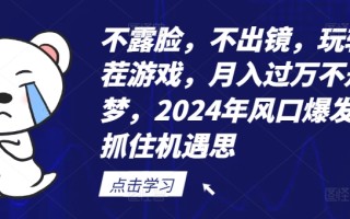 不露脸，不出镜，玩转找茬游戏，月入过万不是梦，2024年风口爆发，抓住机遇【揭秘】
