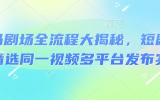 河马剧场全流程大揭秘，短剧爆款精选同一视频多平台发布实操