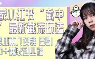 最新小红书截流玩法 独家截中截 单号成本几块钱 日引500+CY粉JZ粉