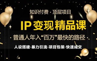 IP变现最新精品课程，知识付费全流程+最强引流术+小白避坑指南