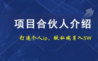 项目合伙人项目，打造个人IP，做私域月入5W，小白勿扰