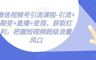 微信视频号引流课程-引流+裂变+直播+变现，获取红利，把握短视频超级流量风口