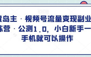 黄岛主·视频号流量变现副业训练营·公测1.0，小白新手一部手机就可以操作