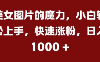 美女图片的魔力，小白轻松上手，快速涨粉，日入几张【揭秘】