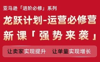 亚马逊进阶必修系列，龙跃计划-运营必修营新课，让卖家实现提升 让单量实现增长