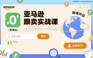 亚马逊跟卖实战课，零基础跨境开店实操教学