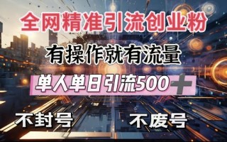 全网独家引流创业粉，有操作就有流量，单人单日引流500+，不封号、不费号