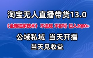淘宝无人直播13.0，公域私域技术，不封号，不违规布局下半年旺季赛道，日入1K+(独家技术)【揭秘】