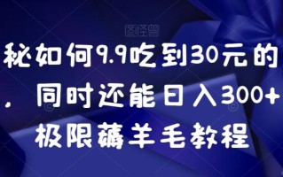 揭秘如何9.9吃到30元的外卖，同时还能日入300+，极限薅羊毛教程