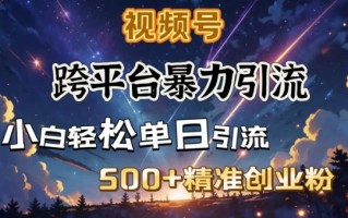 跨平台暴力引流，私域完美闭环，日引500+精准创业粉