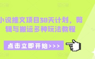 小说推文项目38天计划，剪辑与搬运多种玩法教程