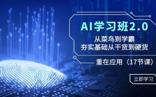 AI学习班2.0：从菜鸟到学霸，夯实基础从干货到硬货，重在应用(17节课)