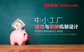 中小工厂绩效与薪酬机制设计（3集） mp4高清无水印视频教程网盘免费下载