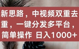 新思路，中视频双重去重，一键分发多平台，简单操作，日入1000+【揭秘】