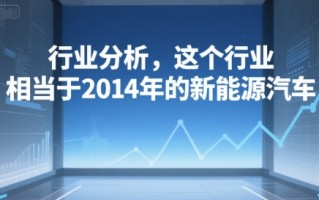 付费文章：行业分析，这个行业，相当于2014年的新能源汽车