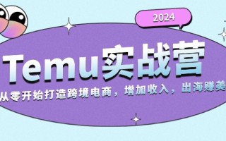 2024Temu实战营：从零开始打造跨境电商，增加收入，出海赚美金