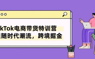 TikTok电商带货特训营，跟随时代潮流，跨境掘金(8节课