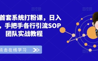 全网首套系统打粉课，日入3k+，手把手各行引流SOP团队实战教程
