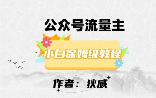 最新红利赛道公众号流量主项目，从0-1每天十几分钟，收入1000+【揭秘】