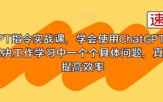 GPT指令实战课，学会使用ChatGPT，解决工作学习中一个个具体问题，真正提高效率