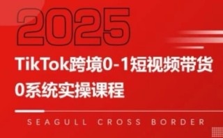 大亿老师·TikTok跨境0-1短视频带货