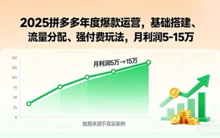 2025拼多多年度爆款运营，基础搭建、流量分配、强付费玩法，月利润5-15万