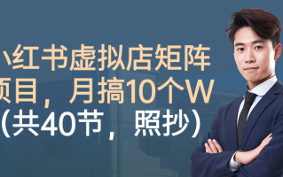 小红书虚拟店矩阵项目，月搞10W(共40节，照抄照做)