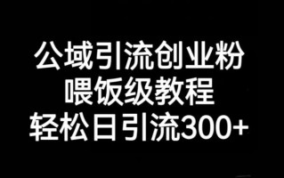 公域引流创业粉，喂饭级教程，轻松日引流300+【揭秘】