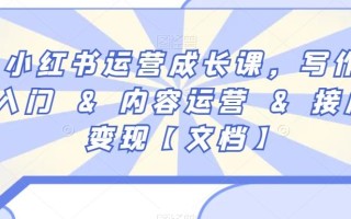小红书运营成长课，写作入门&内容运营&接广变现【文档】