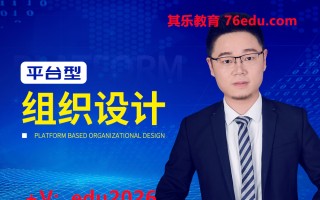 平台型组织设计（2集） mp4高清无水印视频教程网盘免费下载