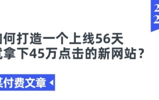 某付费文章《如何打造一个上线56天就拿下45万点击的新网站?》