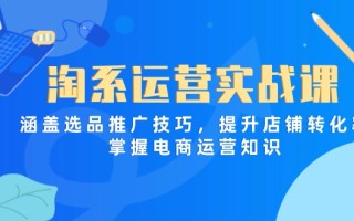 淘系运营实战课，涵盖选品推广技巧，提升店铺转化率，掌握电商运营知识