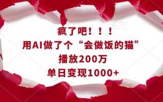 疯了吧！用AI做了个“会做饭的猫”，播放200万，单日变现1k