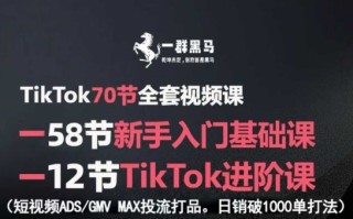 TikTok全套视频课，新手入门+进阶课，短视频ADS-GMV MAX投流打品，日销破1000单打法