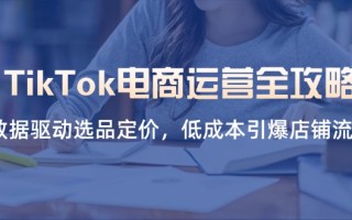 TikTok电商运营全攻略，数据驱动选品定价，低成本引爆店铺流量