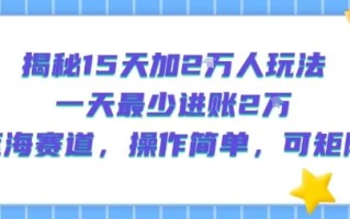 揭秘15天加2W人玩法，一天最少2万进账，蓝海赛道，操作简单，可矩阵