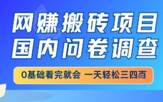 网创搬砖项目，国内问卷调查，小白轻松上手，一天三四张的也不难，干就完了【揭秘】