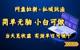 网盘拉新+私域玩法，简单无脑，小白可做，当天见收益，实测单日可破千