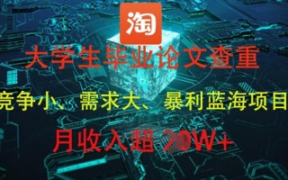 大学生毕业论文查重，暴利蓝海项目，月收入过1W+
