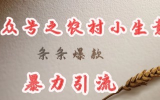 deepseek写农村小项目，条条爆款，暴力引流