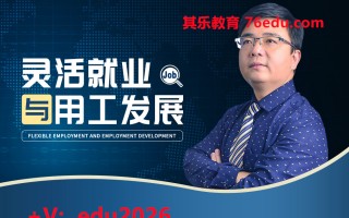 灵活就业与用工发展（7集） mp4高清无水印视频教程网盘免费下载