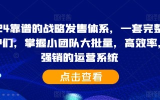 2024靠谱的战略发售体系，一套完整的助IP们，掌握小团队大批量，高效率，0 强销的运营系统